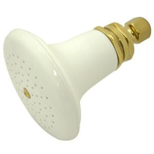Elements of Design EDP502 Hot Springs Colonial Ceramic Shower Head