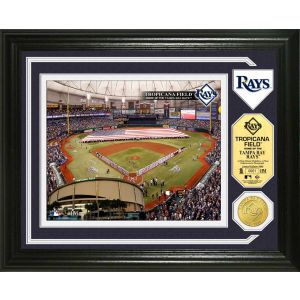 Tampa Bay Rays Highland Mint Photo Mint Coin Bronze