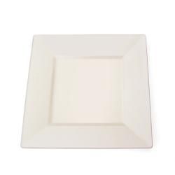 Silver Edge Square Plastic 8 inch Ivory Plates (set Of 10)