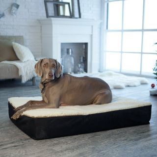 Snoozer Super Thick Ortho Lounger Dog Bed Black/Cream   95012, Extra Large 54L