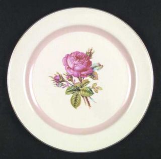 Homer Laughlin  N1580 Dinner Plate, Fine China Dinnerware   Egg Nautilus, Rose C