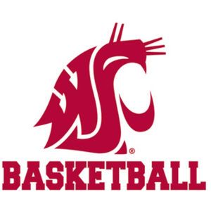 Washington State Cougars Wincraft 3x4 Ultra Decal