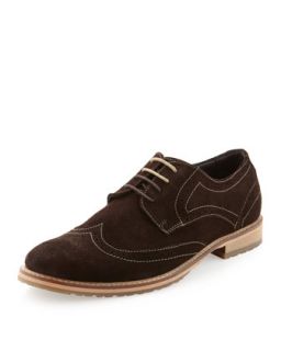 Perforated Suede Lace Up Shoe, Chocolate