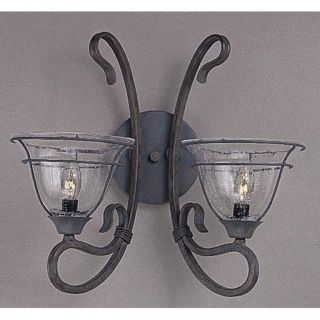 Copper Patina 2 light Wall Sconce (Clear Gla)