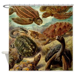  Ernst Haeckel Chelonia Shower Curtain  Use code FREECART at Checkout