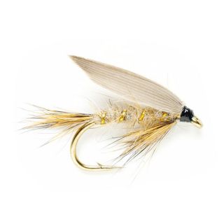 Gold Ribbed Hares Ear Wet, 10
