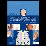 Anatomy Palpation and Surface Markings