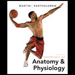 Essentials of Anatomy and Physiology   Text Only