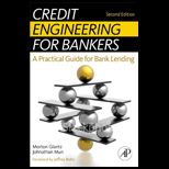 Credit Engineering for Bankers A Practical Guide for Bank Lending