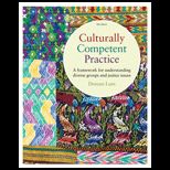Culturally Competent Practice A Framework for Understanding