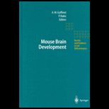 Mouse Brain Development