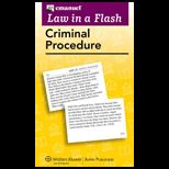Criminal Procedure Law in Flash 2010
