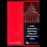 Public Information Technology  Policy and Management Issues