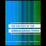 Politics of the American Judicial Process