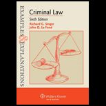 Criminal Law  Examples and Explanations