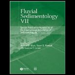 Fluvial Sedimentology VII