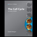 Cell Cycle  Principles Of Control