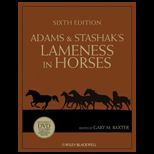 Adams Lameness in Horses