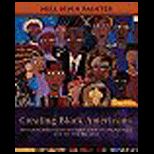 Creating Black Americans  African American History and Its Meanings, 1619 to the Present