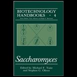 Biotechnology Handbooks 4 Saccharomyces