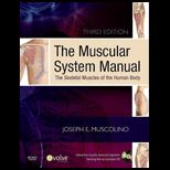 Muscular System Manual Skeletal Muscles of the Human Body   With CD