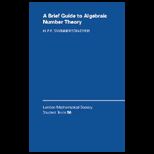 Brief Guide to Algebraic Number Theory