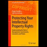 Protecting Your Intellectual Property Rights Understanding the Role of Management, Governments, Consumers and Pirates