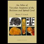 Atlas of Vascular Anatomy of Skeleton