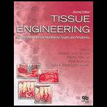 Tissue Engineering Applications in Oral and Maxillofacial Surgery and Periodontics