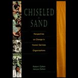 Chiseled in Sand  Perspectives on Change in Human Services Organizations
