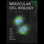Molecular Cell Biology   With E Book