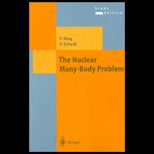 Nuclear Many Body Problem