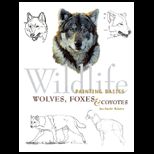 Wildlife Painting Basics Paintings Wolves, Foxes and Coyotes