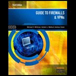 Guide to Firewalls and VPNS