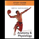Essentials of Anatomy and Physiology Study Guide