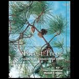 Forest Trees  Guide to Eastern United States