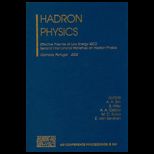 Hadron Physics Effective Theories