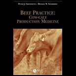 Beef Practice  Cow Calf Production Medicine