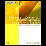 Psychosocial Conceptual Practice Models