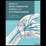 Atlas of Nerve Conduction Studies