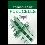 Principles of Fuel Cells