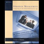 Strategic Management  Competing in the Global Information Age