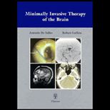 Minimally Invasive Therapy of the Brain