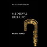 Medieval Ireland Enduring Tradition