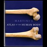 Martinis Atlas of the Human Body