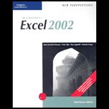 Microsoft Excel 2002, Brief Bonus Edition