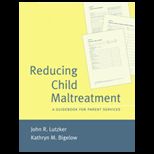 Reducing Child Maltreatment  Guidebook for Parent Services