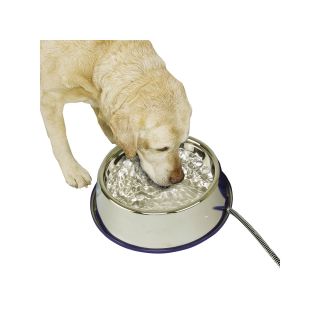 Thermal Stainless Steel Pet Bowl, Gray