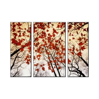 ART Branches and Red Maple Leaves Photo Wall Art