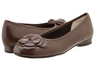 Ros Hommerson Magnum Womens Slip on Dress Shoes (Brown)